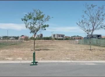 Terreno · 801m² · Terreno en Area 5 de San Sebastián, Panamericana Km 54 Pilar
