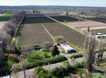 Campo , Luján de Cuyo · Venta de Finca en Agrelo, Lujan de Cuyo