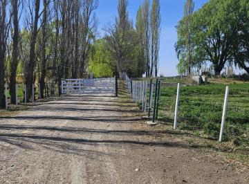 Campo · 500m² · 5 Ambientes · 5 Cocheras · Chacra en Gaiman, Chubut, Patagonia