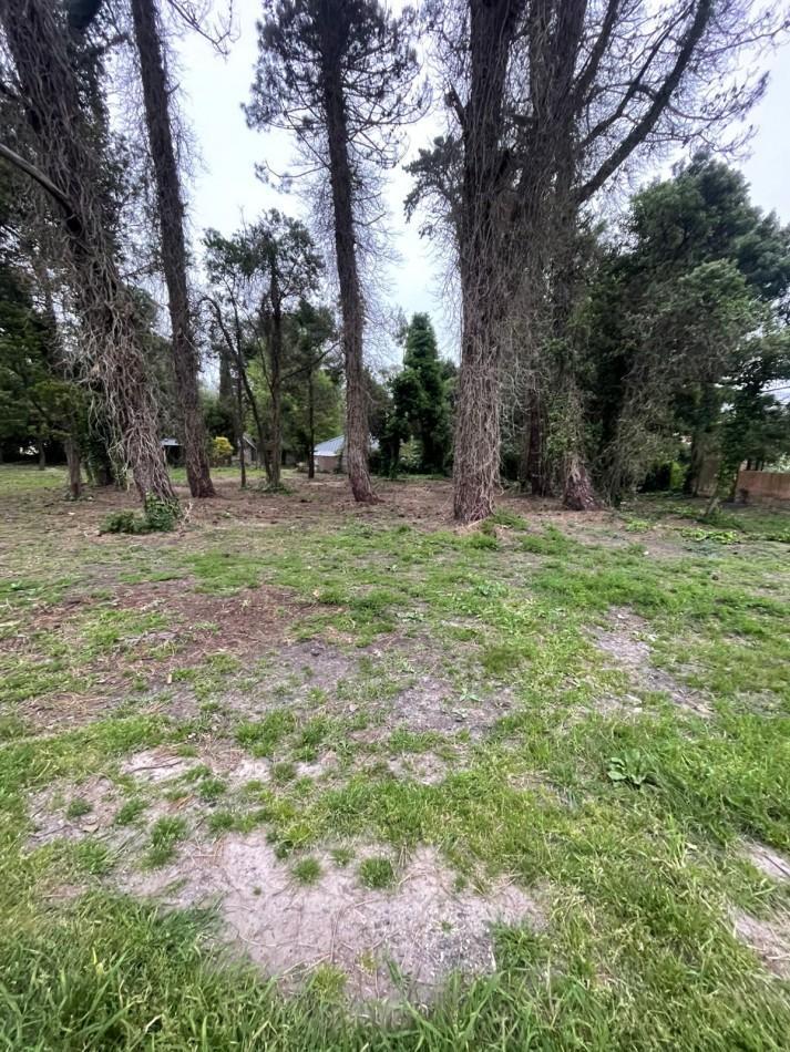 Lotes 4y 5 Manzana 214, mza 221 lote 4 y 5, 880m² en Bosque Peralta Ramos