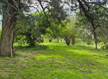 Campo de 5 ambientes, Cañuelas · Chacra de 3 Hectáreas en Villa Vissir - Cañuelas!
