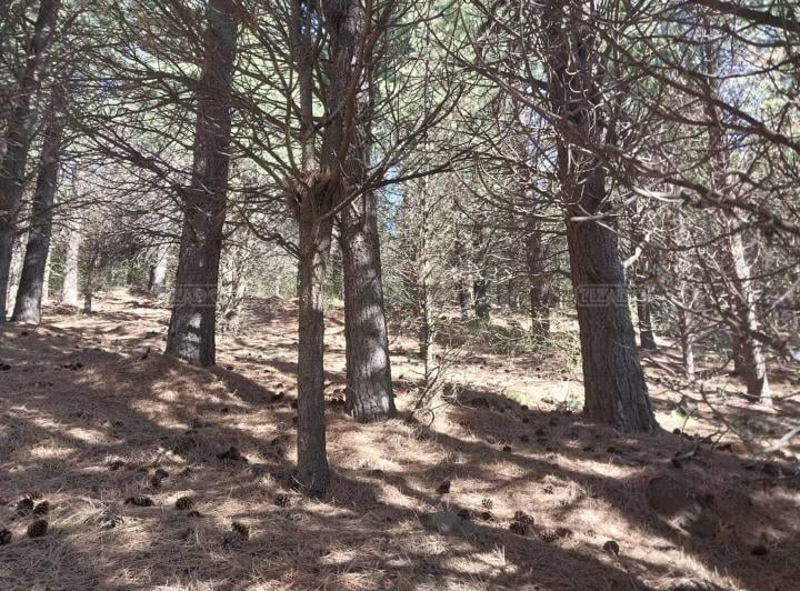 Terreno en venta en El Desafio