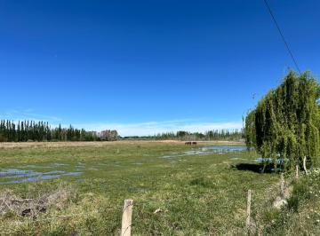 Campo · 60000m² · Alquila Ha Frente Ruta 7 en Vista Alegre Norte