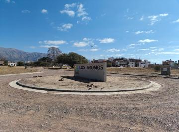 Terreno · 574m² · Terreno en Venta Barrio Los Aromos Cafayate Salta