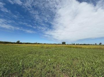 Terreno · 8m² · Venta de Campo de 8 Ha en Camino Vjo a Monte Cristo