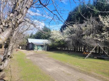 Instalaciones · Se Vende Chacra con Producción de Cerezas en La Localidad de El Hoyo. C/ Costa de Rio Epuyen