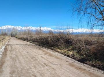 Campo · 50000m² · Campo en Vista Flores