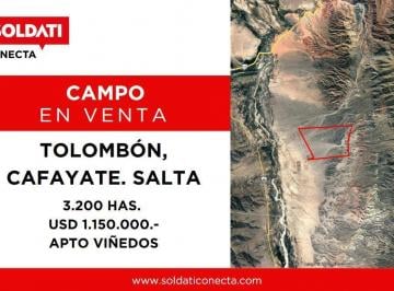 Campo · 32000000m² · Campo Apto Para Viñedo en Venta - Tolombón, Salta