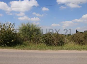 Terreno · 901m² · Lotes con Frente a Calle 419 (Av Arana) en Venta