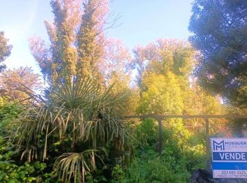 Terreno · 1800m² · Venta Lotes en Block Bosque Peralta Ramos