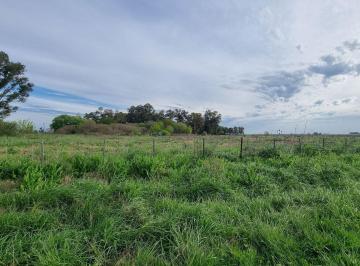 Campo · 13m² · Campo de 41250 m² en Venta