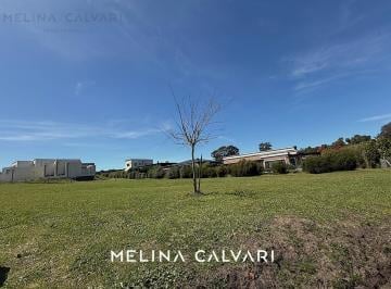 Terreno · 601m² · Terreno en Rumenco Joven