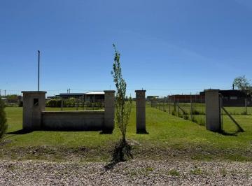 Terreno , Ezeiza · Lote en Venta Barrio Don Nino Estilo Campo