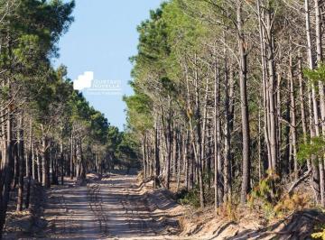 GNP-GNP-950_2 · Terreno en Venta en Villarobles Pinamar
