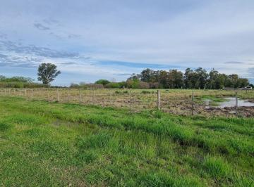 Campo · 13m² · Campo de 41250 m² en Venta