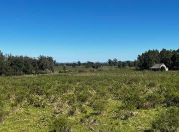 Campo · 274000m² · Chacras en Venta Sobre Camino Eguzquiza - Tm
