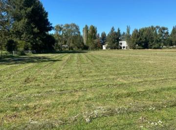 Terreno · 4464m² · Terreno en Campos de Roca