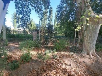 Terreno , Lunlunta · Veronica Tahan Negocios Inmobiliarios Ofrece Lote en Lunlunta Maipu