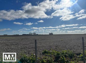Campo · 190000m² · Campo Papero 19 Ha en Mar Chiquita
