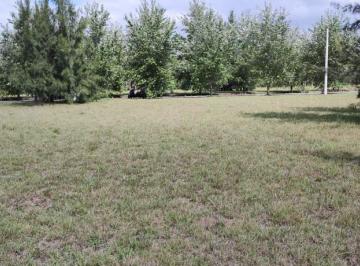 Terreno · 1000m² · Terreno en Coronel Brandsen