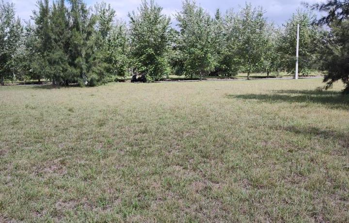 Terreno · 1000m²