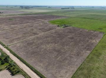 Campo · 600000m² · Campo en Luis Palacios