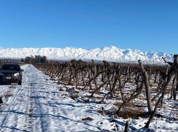 Campo · 510000m² · Finca en Venta en Ugarteche