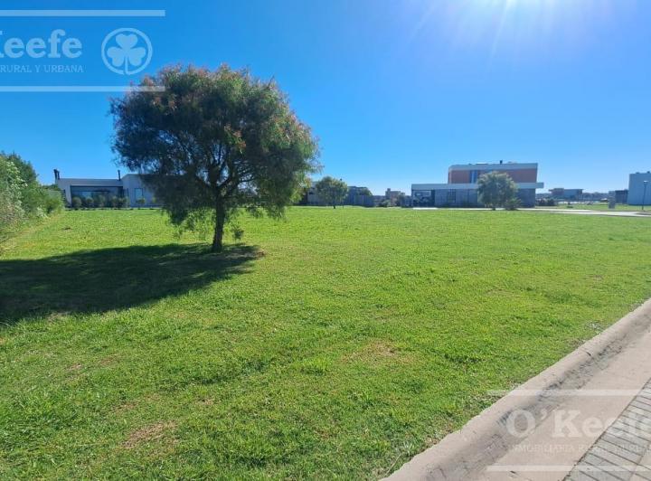 Terreno · 959m²
