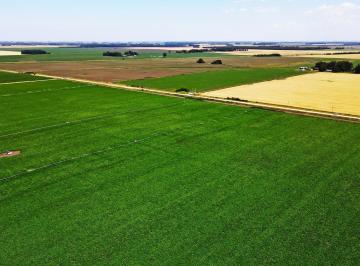 Campo · 2670000m² · Miramar - 267 Ha Agrícola