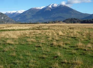 Campo · 1220000ha · .