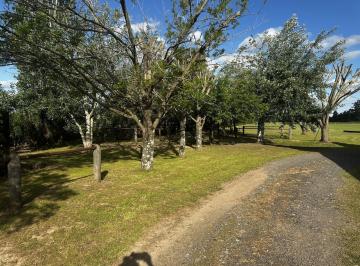 Campo · 220000ha · 6 Ambientes · 2 Cocheras · Campo en Parada Robles