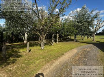 Campo · 22ha · 6 Ambientes · 2 Cocheras · Campo en Parada Robles