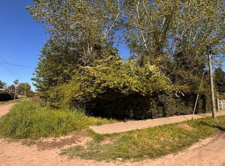 Terreno · 720m²
