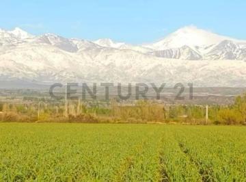 Quinta vacacional · 261m² · 4 Ambientes · 2 Cocheras · Century 21 López Vende Finca en Tupungato Valle de Uco, Mendoza