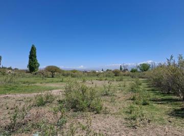 Quinta vacacional · 36000m² · Greenwood Inmobiliaria Vende Finca de 3,6 Ha en Calle Brandsen - Perdriel, Lujan de Cuyo.