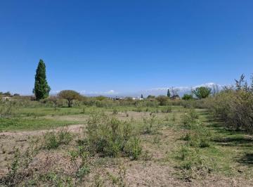 Quinta vacacional · 36000m² · Greenwood Inmobiliaria Vende Finca Inculta de 3,6 Ha en Calle Brandsen - Perdriel, Lujan de C