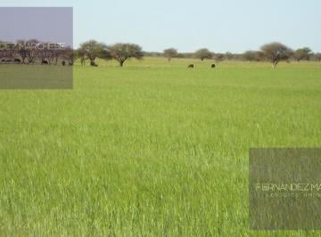 Terreno · 1m² · Terreno en Rancul