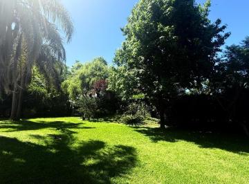 Terreno · 586m² · Terreno - Villa Gobernador Udaondo