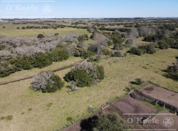 Campo · 2950000ha · 4 Ambientes · Campo en Venta 295 Has Magdalena