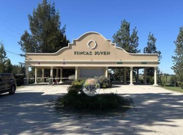 Terreno · 652m² · Venta Lote 652 m² Fincas Joven San Vicente