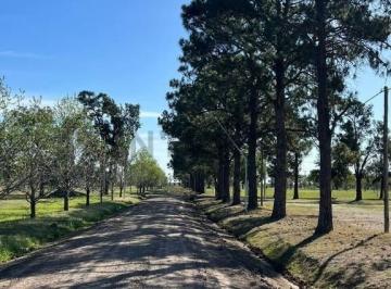 Terreno · 600m² · Lote de 600 m² en Country Los Molinos