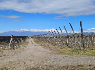 Campo · 100000m² · Finca de 10 Has en Venta en Ruta 89, Tupungato, Mendoza