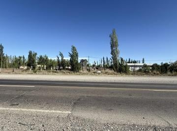 Terreno · 10000m² · Venta - Hectárea Sobre Ruta Nacional N° 22 - Cervantes - T102