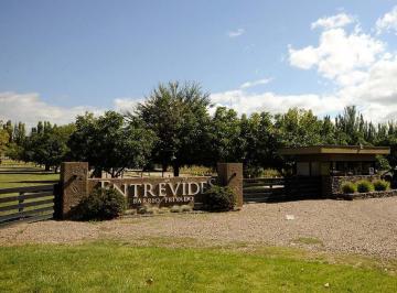 Terreno · 1000m² · Terreno en Venta Barrio Privado Entrevides, Tupungato, Mendoza
