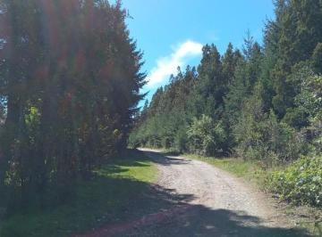 Terreno · 1066m² · Terreno en Mallin Ahogado