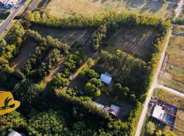 Terreno · 31300m² · Lote 3 Ha en Tristan Suarez