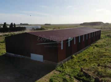 Bodega-Galpón · 1616m² · 1 Ambiente · Galpon en Alquiler