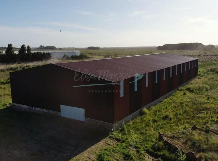 Bodega-Galpón · 1616m² · 1 Ambiente