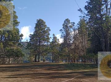 Campo · 28000m² · 8 Ambientes · Campo en Venta Trevelin
