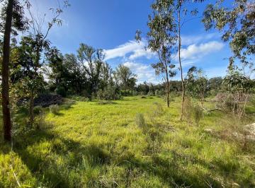 Terreno · 582m² · Terreno en Eden Rock